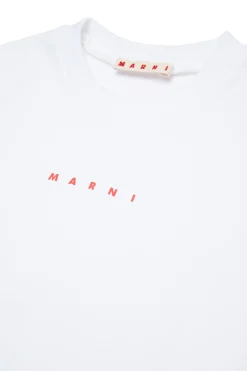 Sweatshirts | Activewear><noscript><img data-lazyloaded=