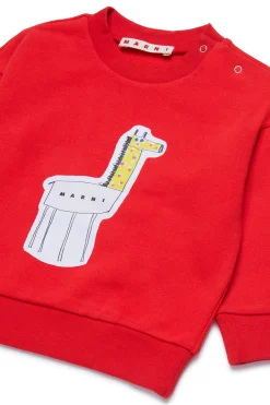 Sweatshirts><noscript><img data-lazyloaded=