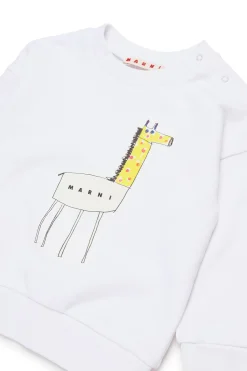 Sweatshirts><noscript><img data-lazyloaded=