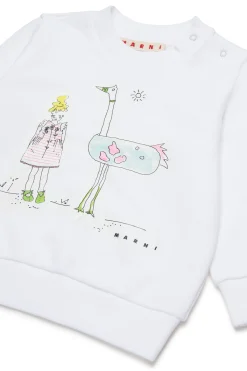 Sweatshirts><noscript><img data-lazyloaded=