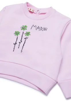 Sweatshirts><noscript><img data-lazyloaded=