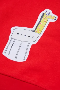 Sweatshirts><noscript><img data-lazyloaded=