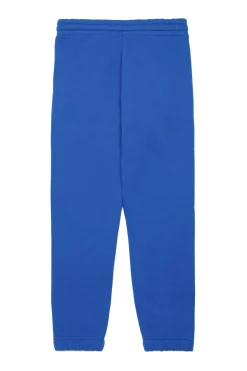Activewear | Activewear>DIESEL Fleece jogger pants with degradé logo bright bluette