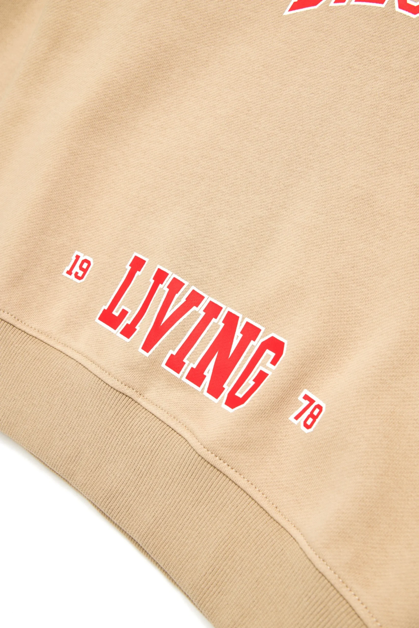 Activewear | Activewear>DIESEL Hooded sweatshirt with college graphics beige