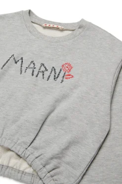 Sweatshirts><noscript><img data-lazyloaded=