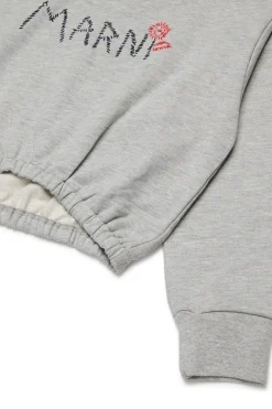 Sweatshirts><noscript><img data-lazyloaded=