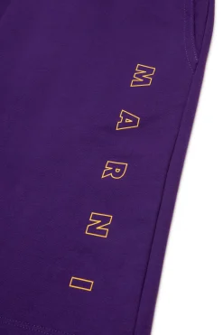 Shorts | Activewear><noscript><img data-lazyloaded=