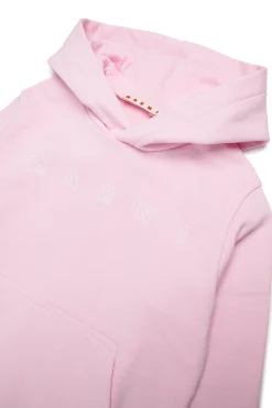 Sweatshirts | Activewear><noscript><img data-lazyloaded=