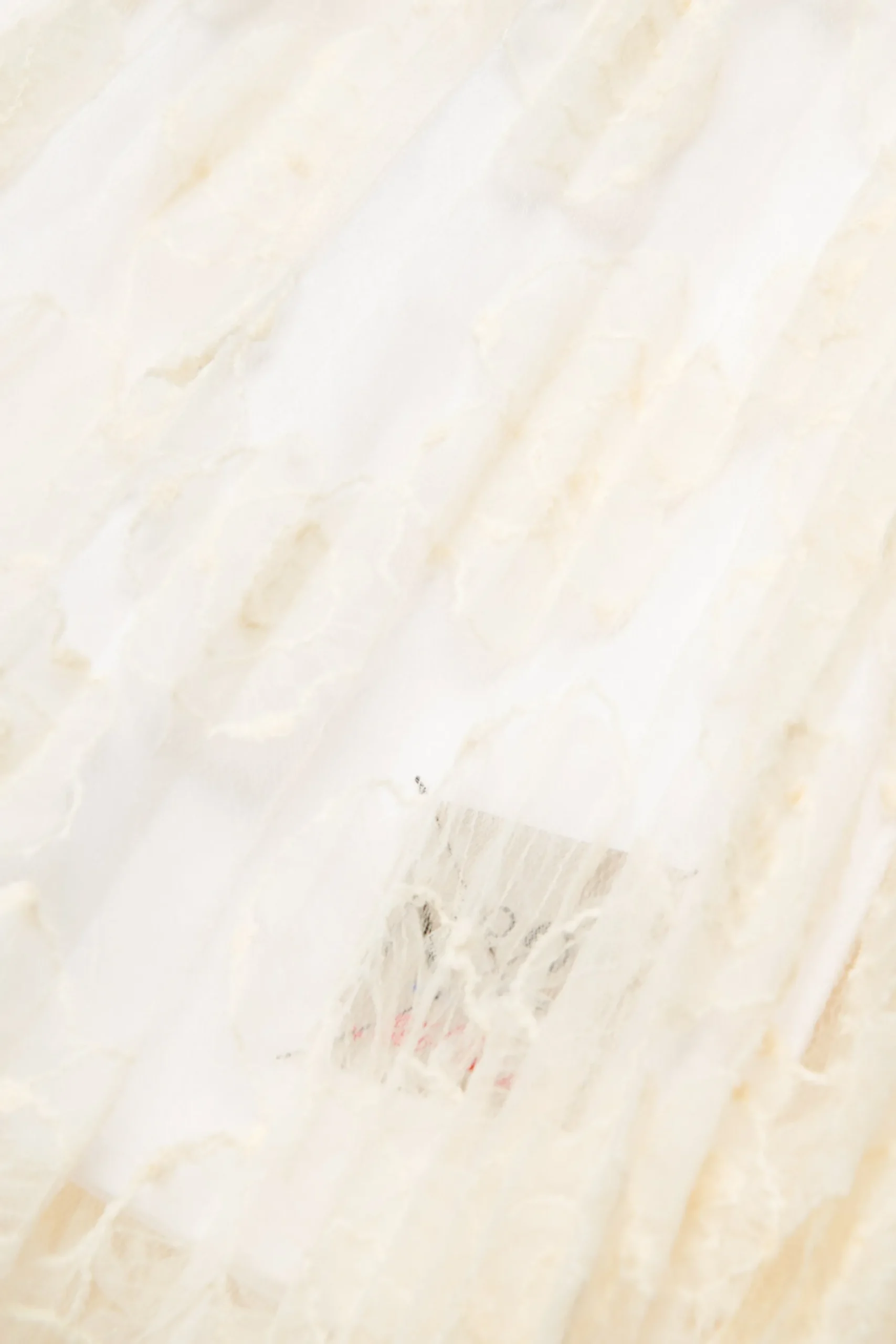 Skirts>N°21 Skirt with embroidered organza flowers creamy white